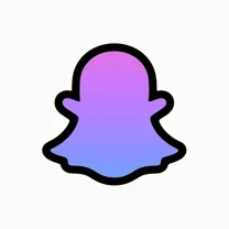 SnapWho Privacy Hub